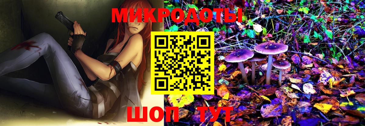 Галлюциногенные грибы Psilocybe Коряжма